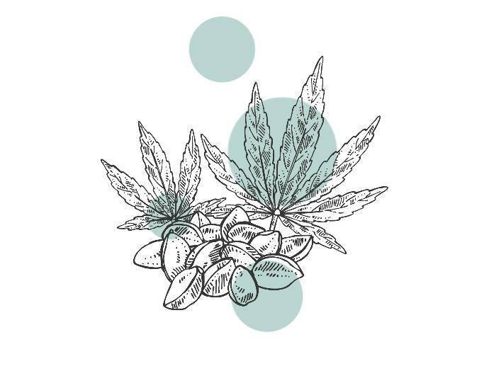 illustration cbd